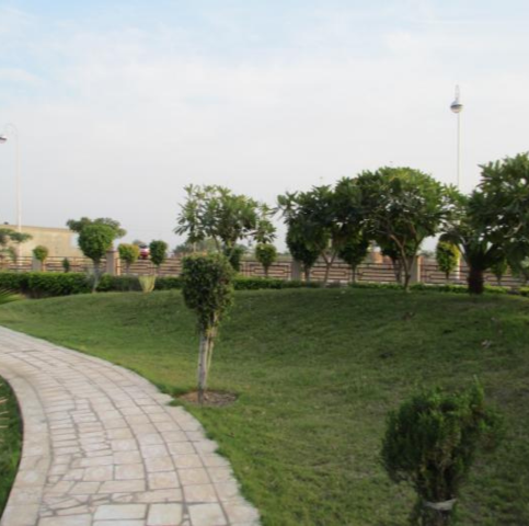 untitled design 2026 02 18t001338.245