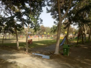 untitled design 2026 02 13t215041.375